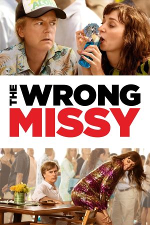 The Wrong Missy Online Anschauen