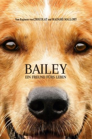 Bailey – Ein Freund fürs Leben Online Anschauen