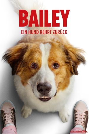 Bailey - Ein Hund kehrt zurück Online Anschauen