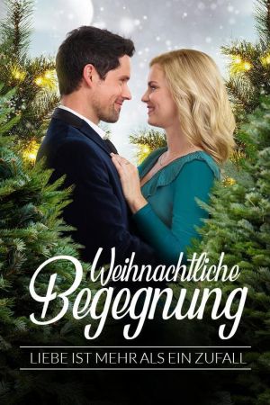 Weihnachtliche Begegnung - Liebe ist mehr als ein Zufall Online Anschauen