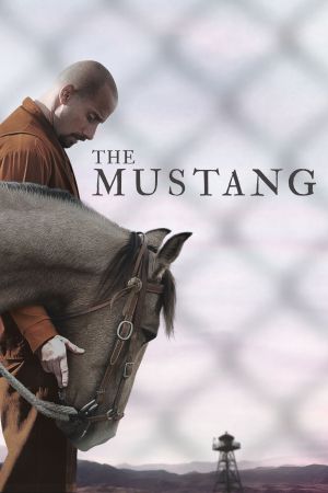 The Mustang Online Anschauen