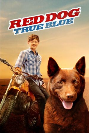 Red Dog – Mein treuer Freund Online Anschauen