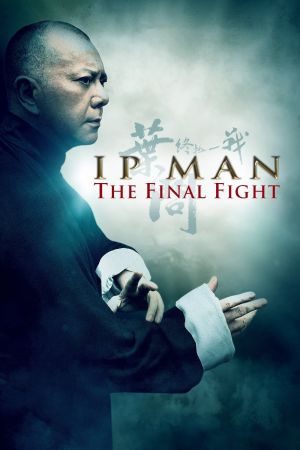 Ip Man - Final Fight Online Anschauen