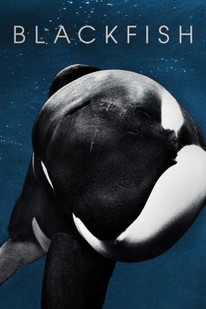 Blackfish Online Anschauen