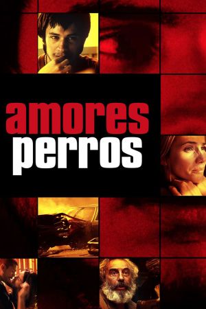 Amores perros Online Anschauen