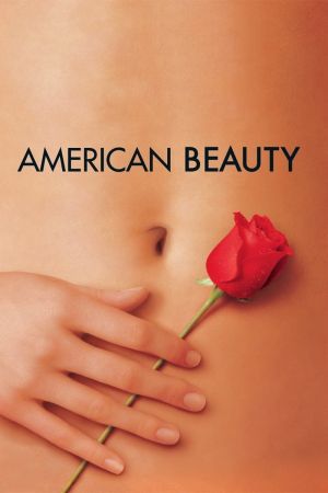 American Beauty Online Anschauen