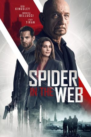 Spider In The Web Online Anschauen