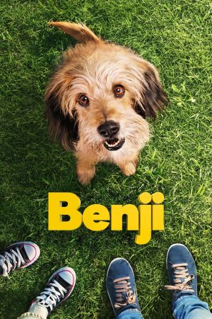 Benji Online Anschauen