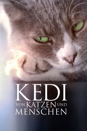 Kedi: Von Katzen und Menschen Online Anschauen