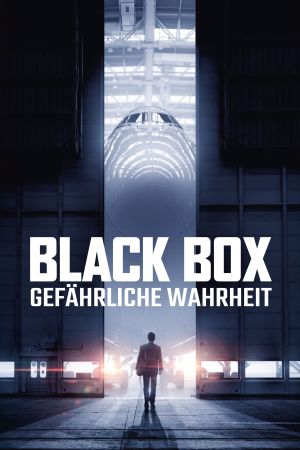 Black Box - Gefährliche Wahrheit Online Anschauen