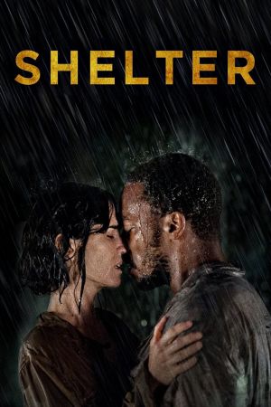 Shelter Online Anschauen