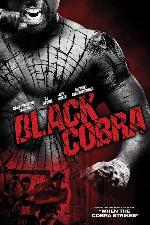 Black Cobra - Schwarze Diamanten Online Anschauen