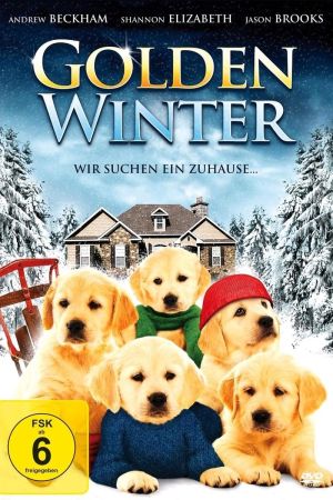 Golden Winter - Wir suchen ein Zuhause