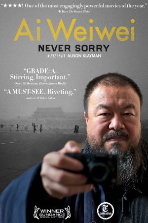 Ai Weiwei: Never Sorry Online Anschauen