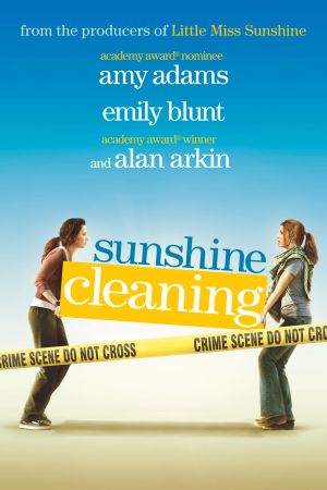 Sunshine Cleaning Online Anschauen