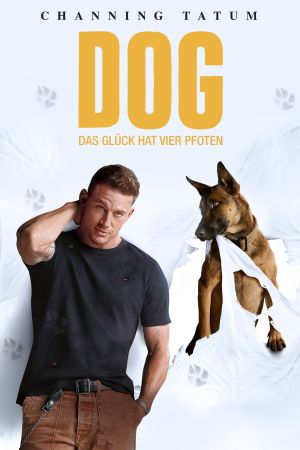 Dog - Das Glück hat vier Pfoten