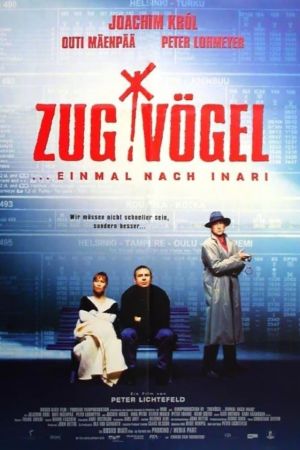 Zugvögel – einmal nach Inari