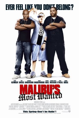 Malibu's Most Wanted Online Anschauen