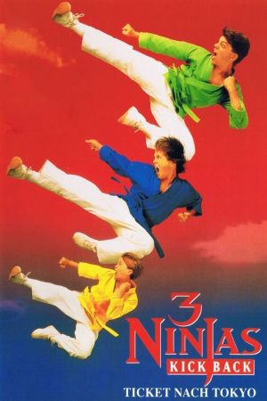 3 Ninjas Kick Back Online Anschauen