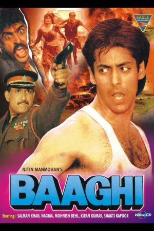 Baaghi: A Rebel for Love Online Anschauen