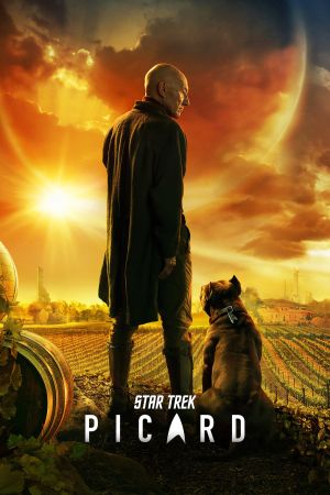 Star Trek: Picard online anschauen