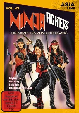 Ninja Fighters Online Anschauen