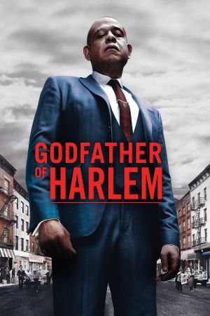 Godfather of Harlem online anschauen