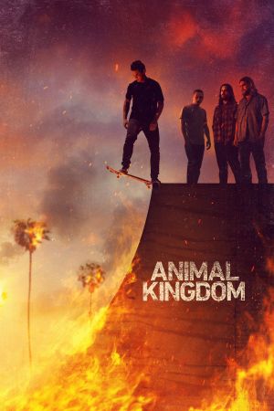 Animal Kingdom online anschauen