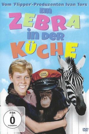 Ein Zebra in der Küche Online Anschauen