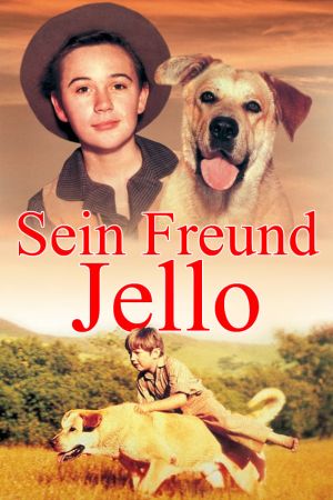 Sein Freund Jello Online Anschauen