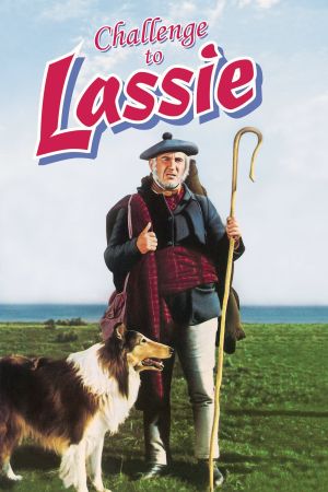 Lassie in Not Online Anschauen