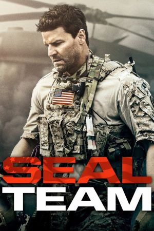 SEAL Team online anschauen