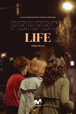 Perfect Life online anschauen