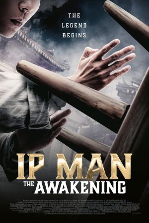 Ip Man: The Awakening Online Anschauen