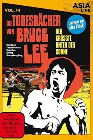 Die Todesrächer von Bruce Lee Online Anschauen