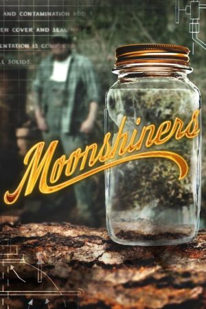 Moonshiners – Die Schwarzbrenner von Virginia online anschauen