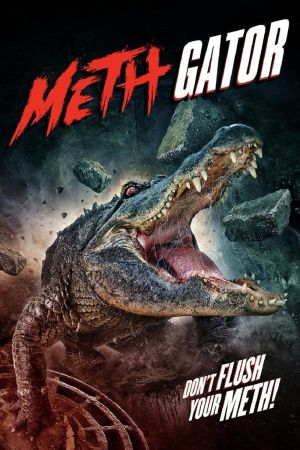 Methgator Online Anschauen